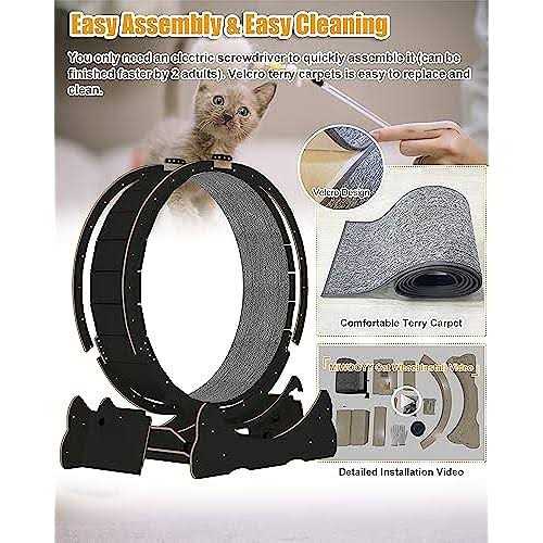 Cat Exercise Wheel 40 inch Solid Wood for Indoor Cats Q114904