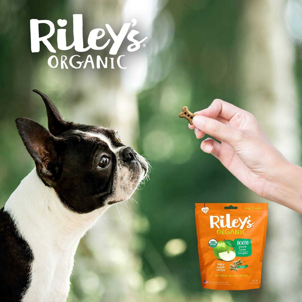 Organic Dog Treats O381557