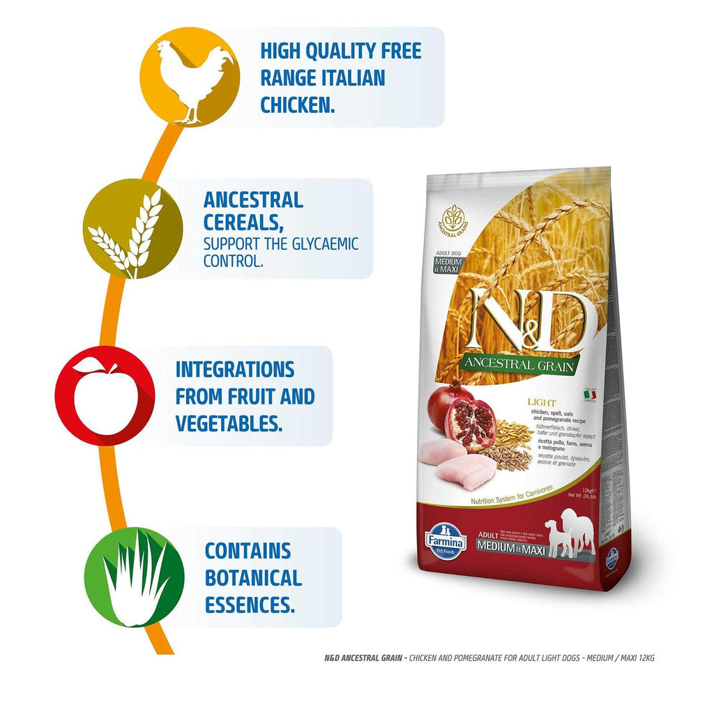 Chicken & Pomegranate Dry Dog Food for Medium & Large Breeds Q984345