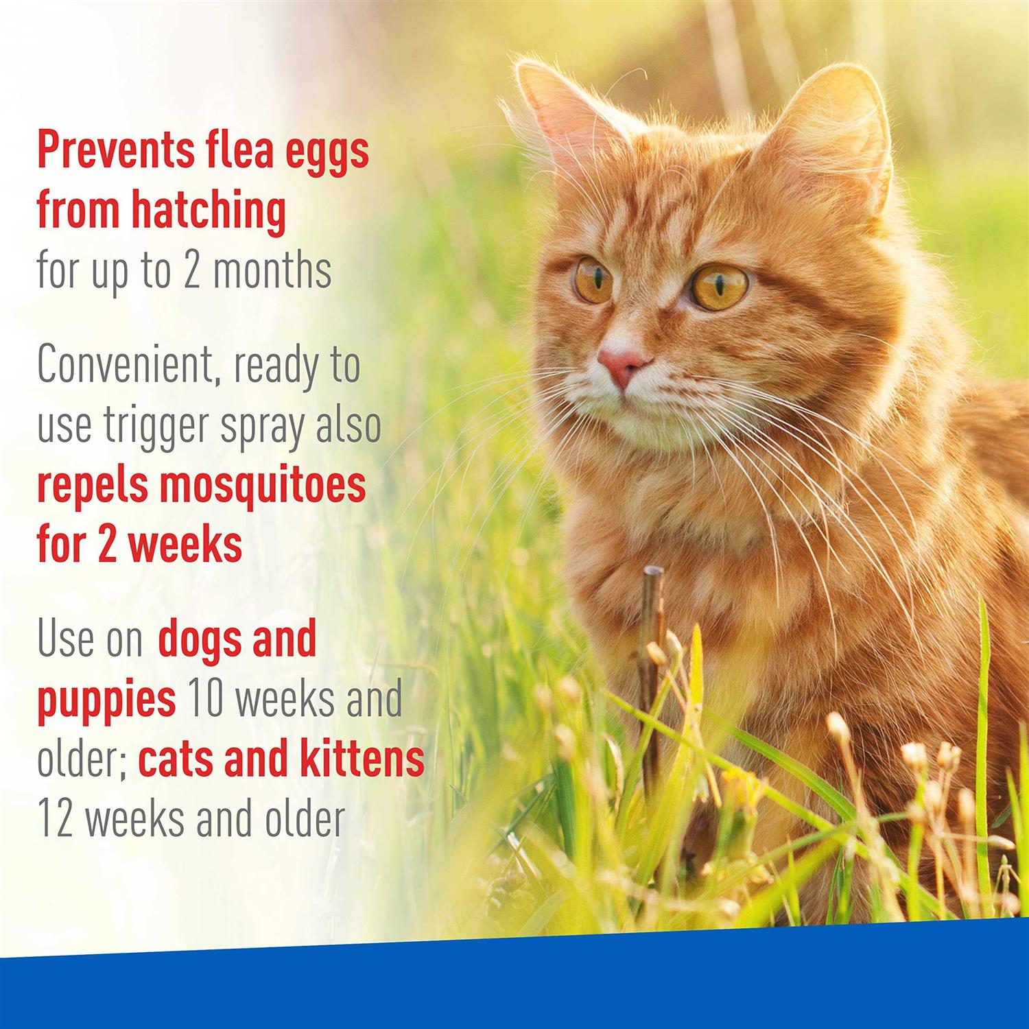 Flea and Tick Spray for Pets X3143