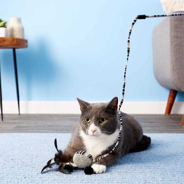 Cat Toy Ball with Wand O354429