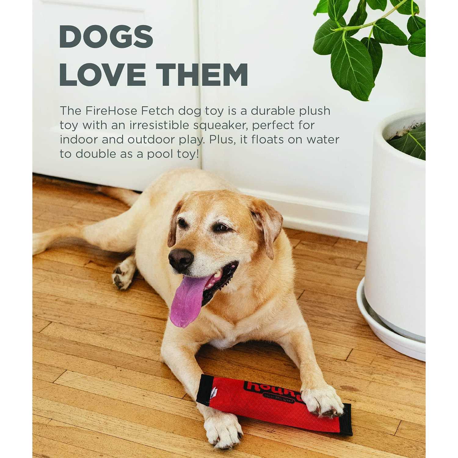 Fetch Dog Toy O619515