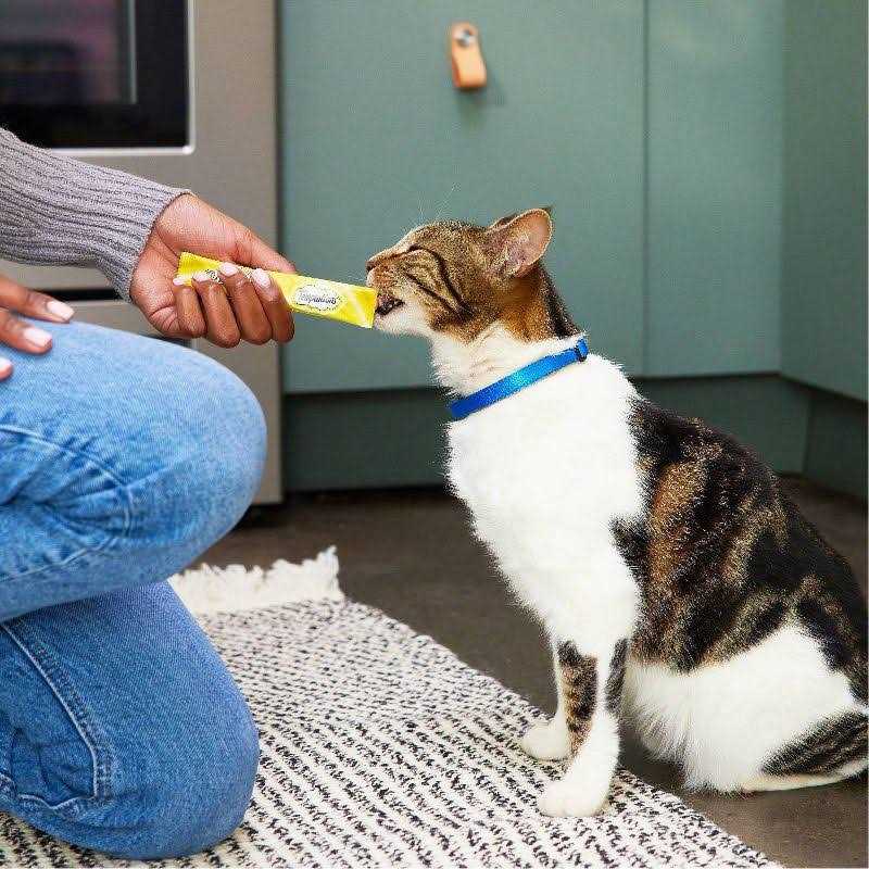 Creamy Puree Lickable Cat Treats J867066