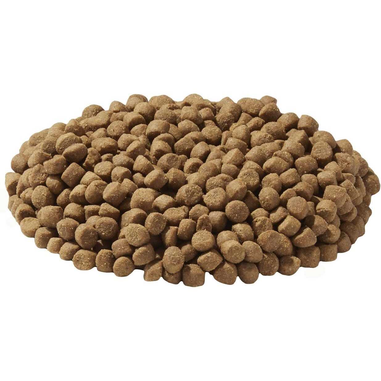 Dry Dog and Cat Food J198