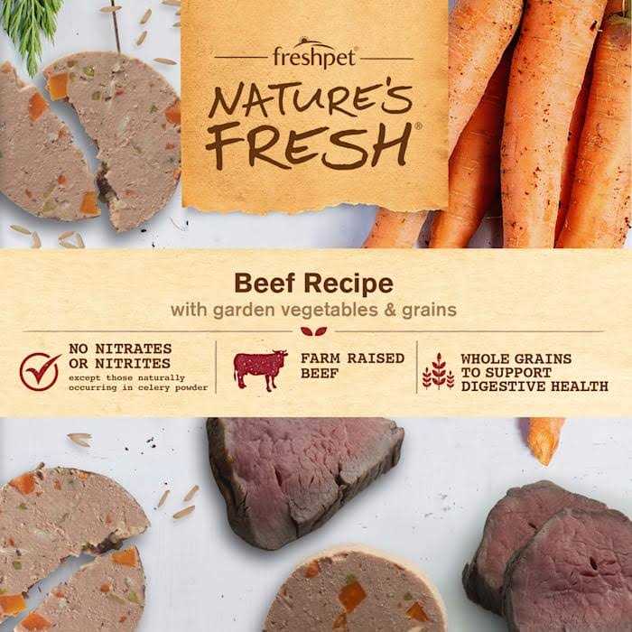 Beef Recipe Dog Food G679576