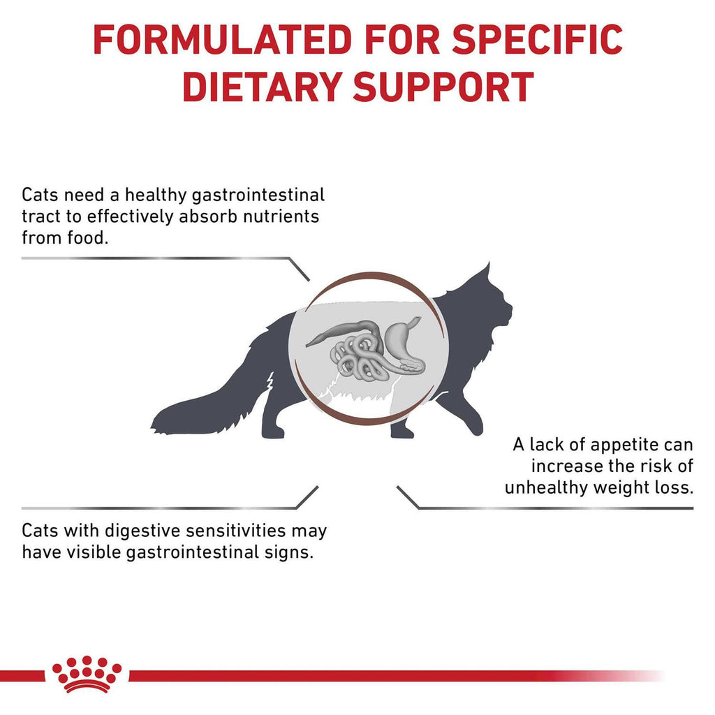 Gastrointestinal Dry Cat Food Y604881