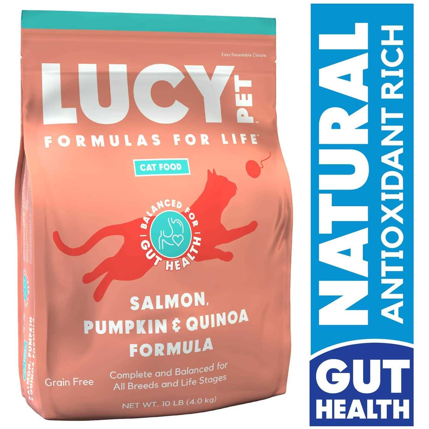 Dry Cat Food Salmon J224770