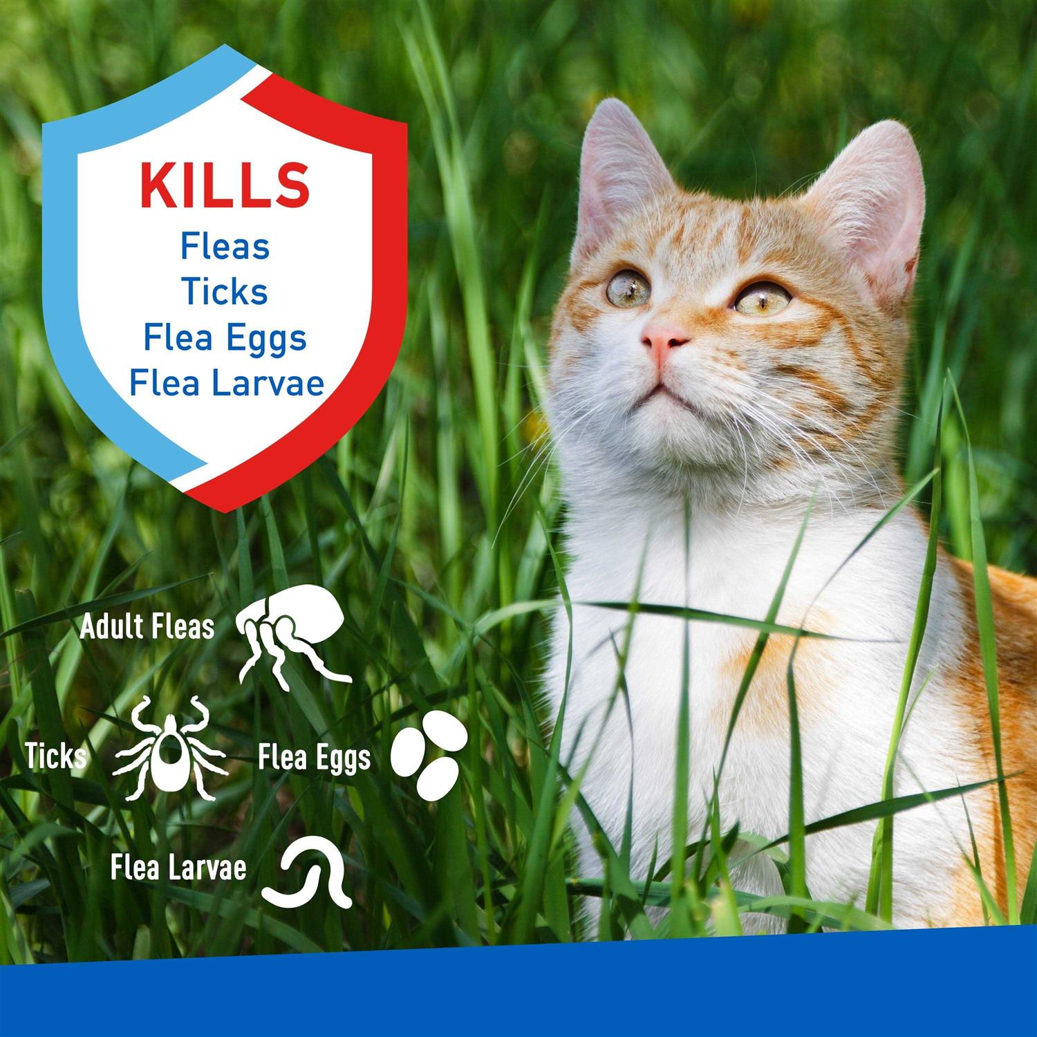 Flea and Tick Spray for Cats W840497