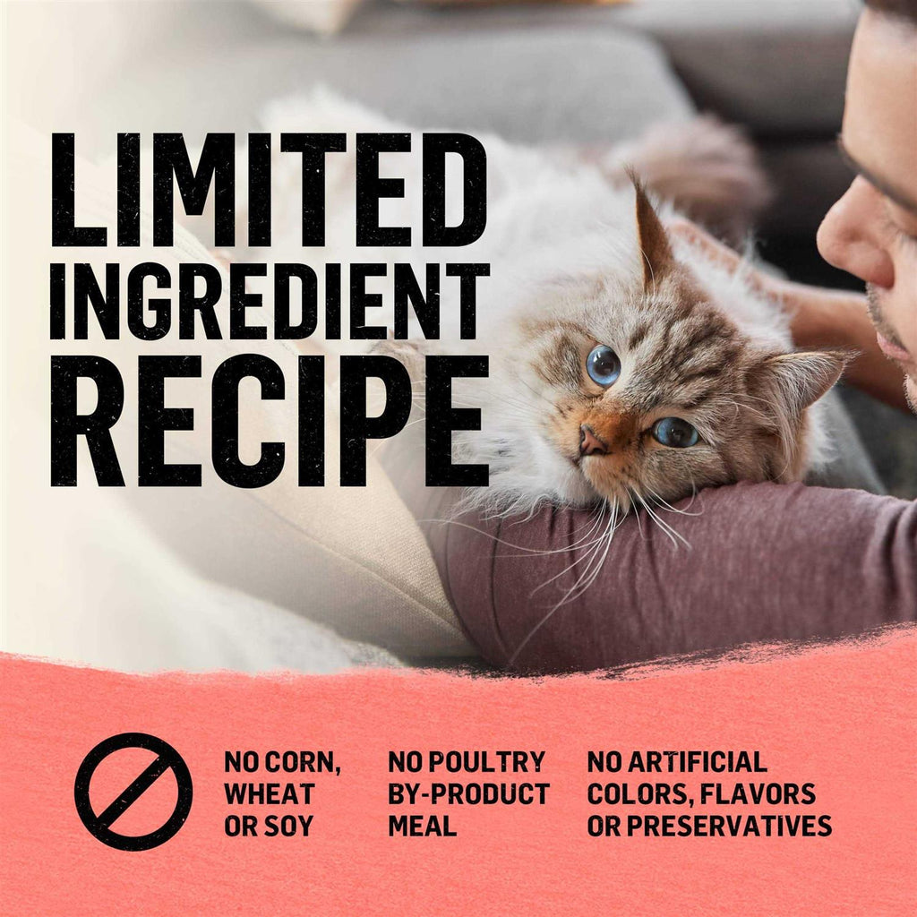 Indoor Salmon Dry Cat Food L310