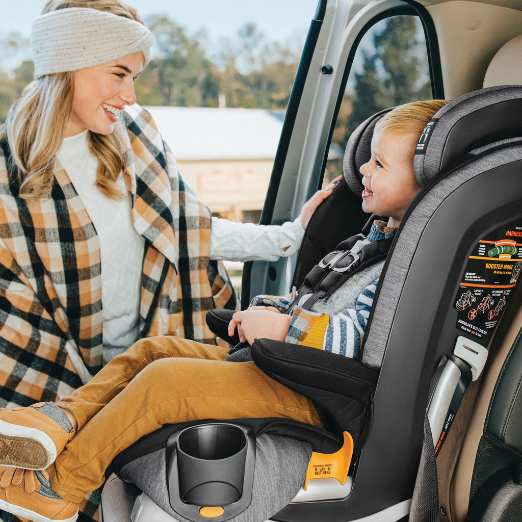 Harness + Booster Car Seat - Shadow (Black) I930260