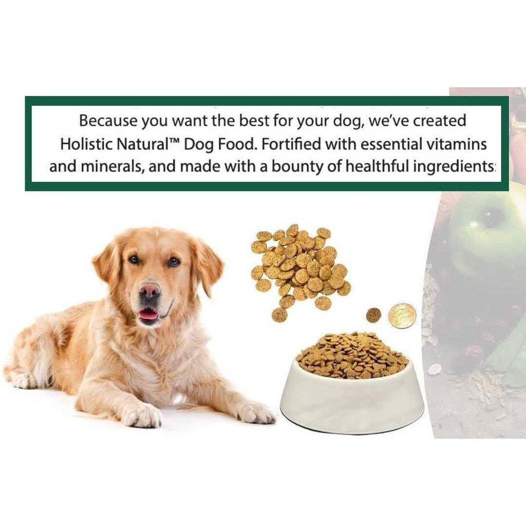 Holistic Natural Adult Dry Dog Food, Chicken Meal and Brown Rice Recipe 6.6 lb Bag E486