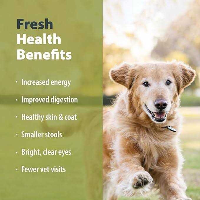 Balanced Remedy Frozen Dog Food G560000
