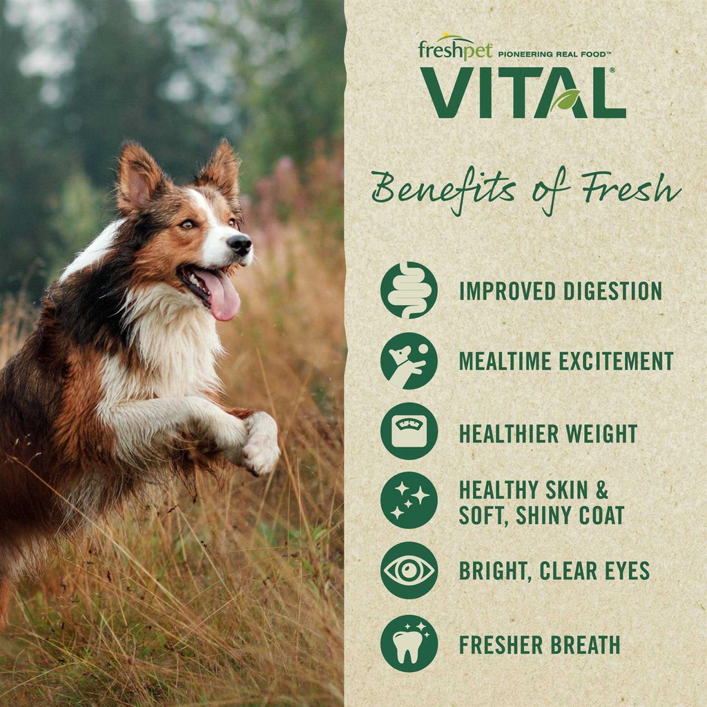 Grain-Free Beef & Bison Fresh Dog Food R63872