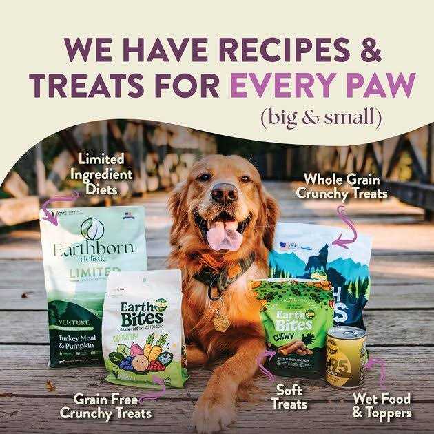 Roasted Lamb with Ancient Grains Dry Dog Food T265522