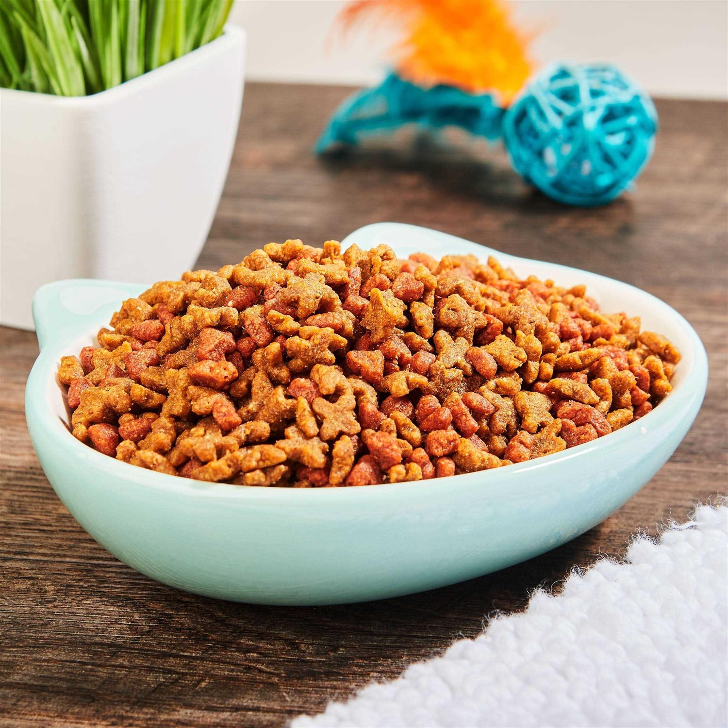 Kitten Formula Dry Cat Food N3866