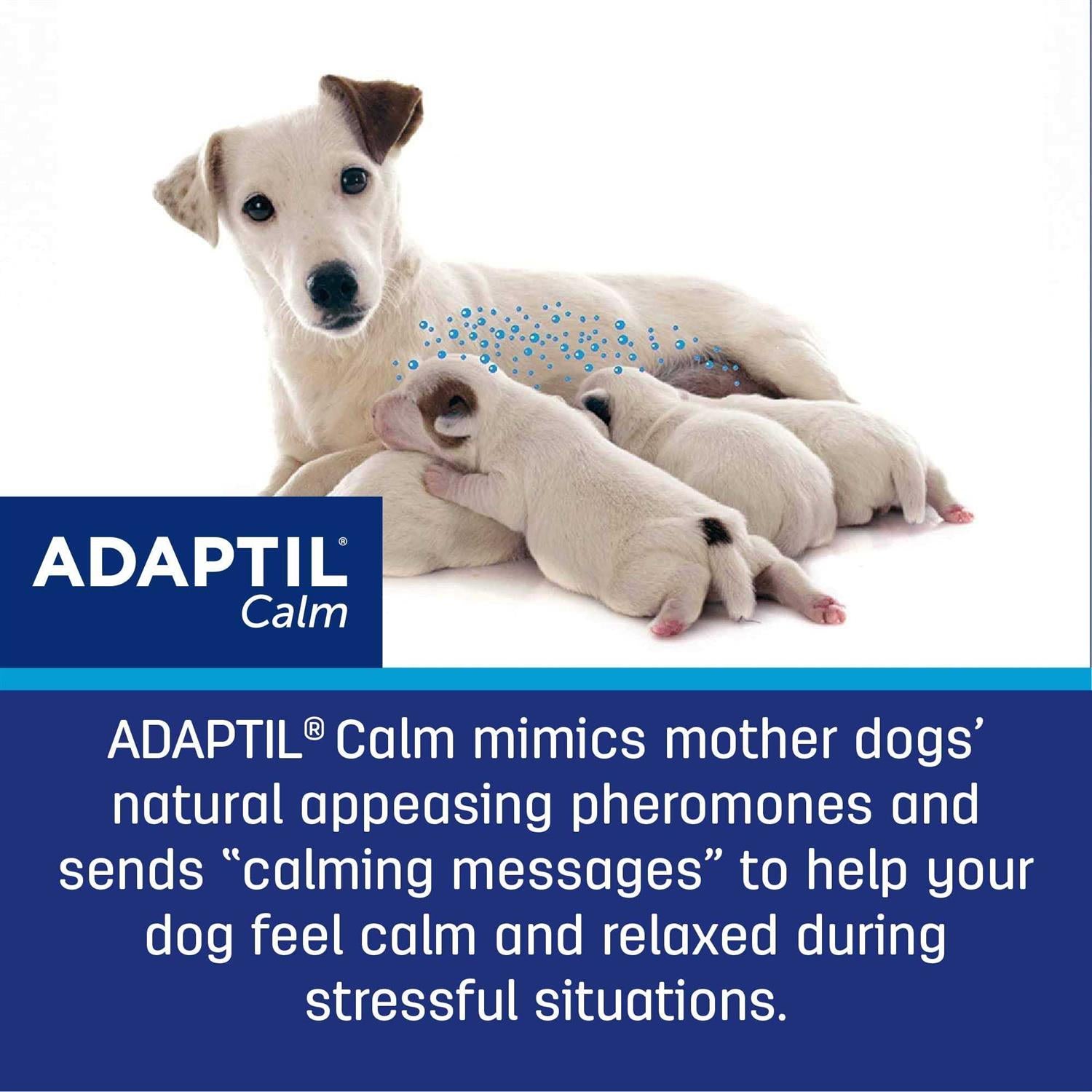 Calming Collar for Dogs A215