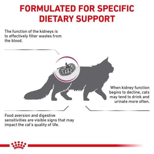 Renal Support Dry Cat Food for Adult Cats I415722