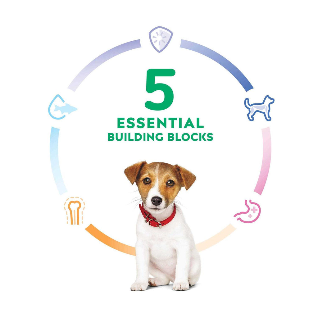 Puppy Small Bites Chicken Recipe Dry Dog Food N3462