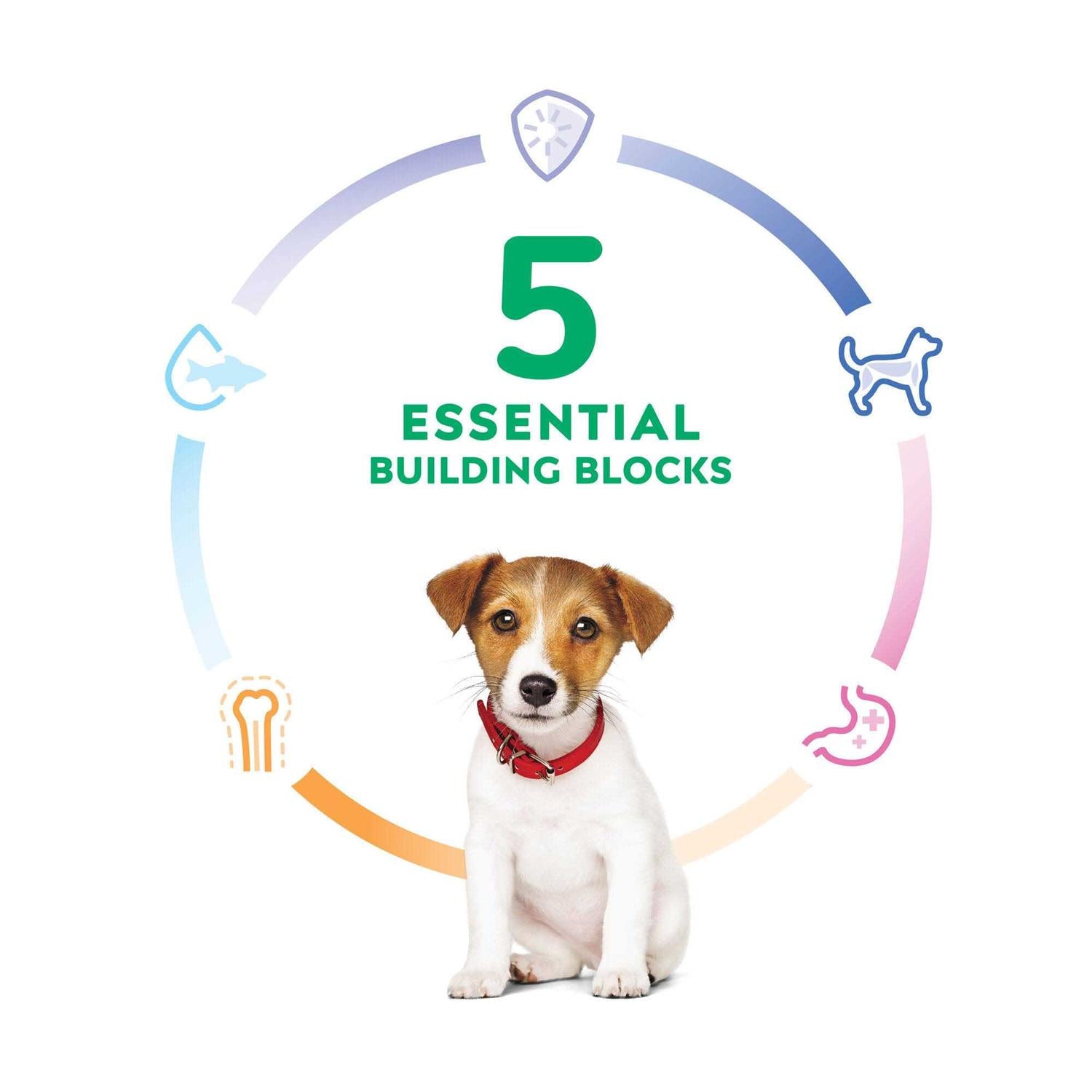 Puppy Small Bites Chicken Recipe Dry Dog Food N3462