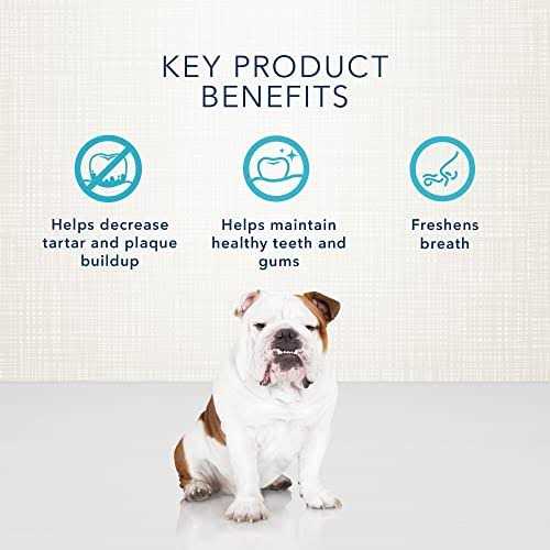 Dental Bones Dog Treats S886780