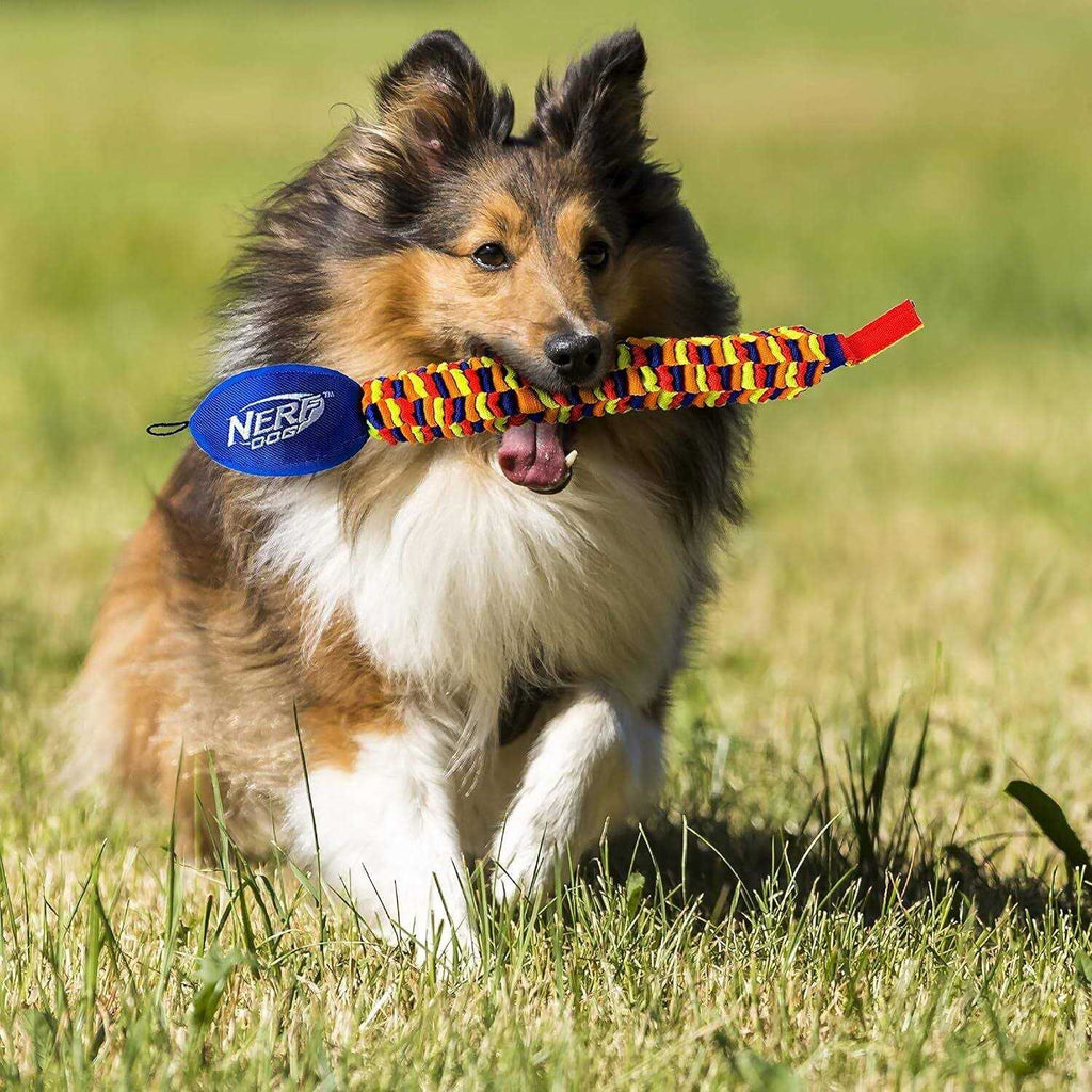 Vortex Chain Tug Dog Toy K160
