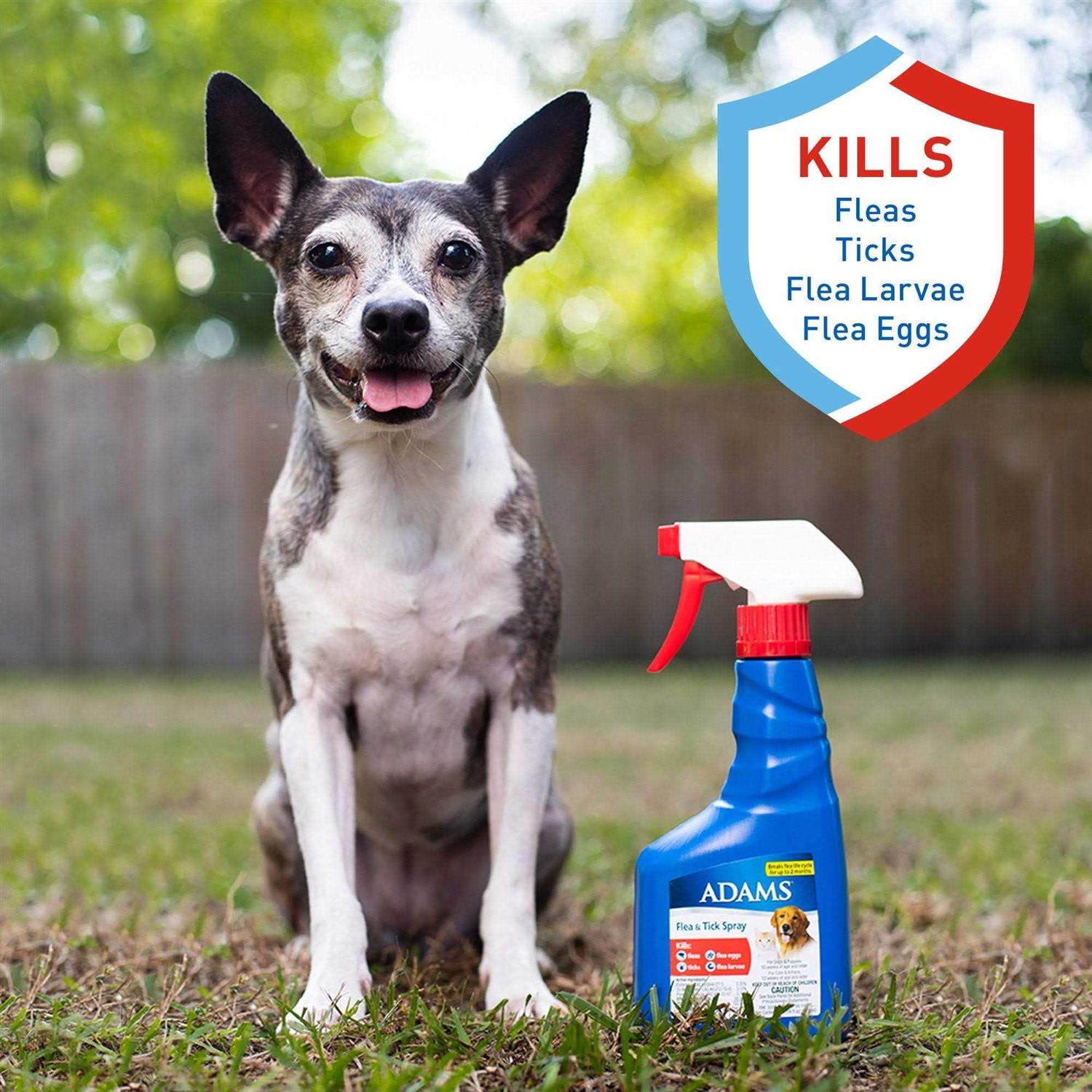 Flea and Tick Spray for Pets R510979