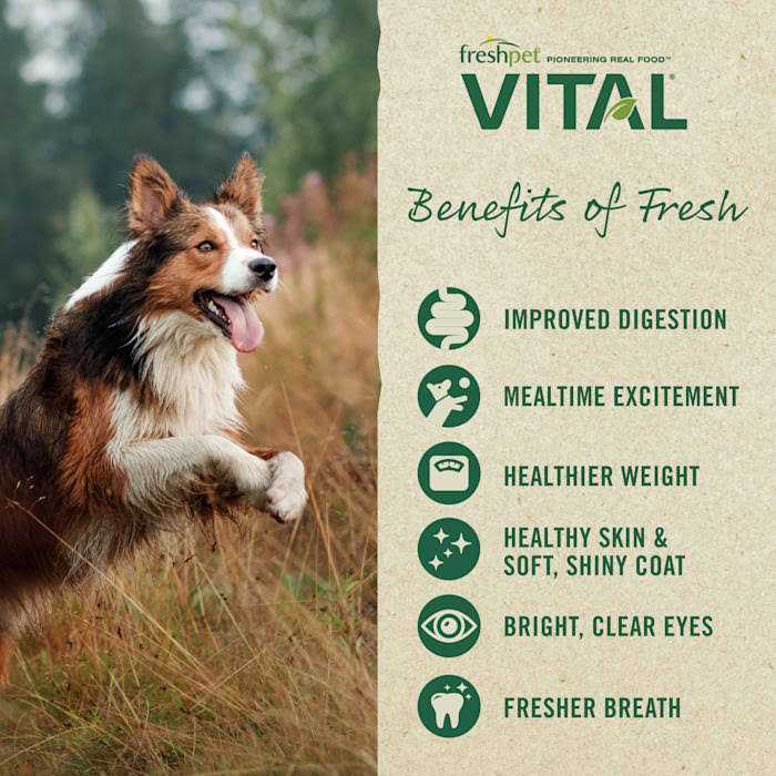Vital Fresh Cuts Dog Food Chicken C6506