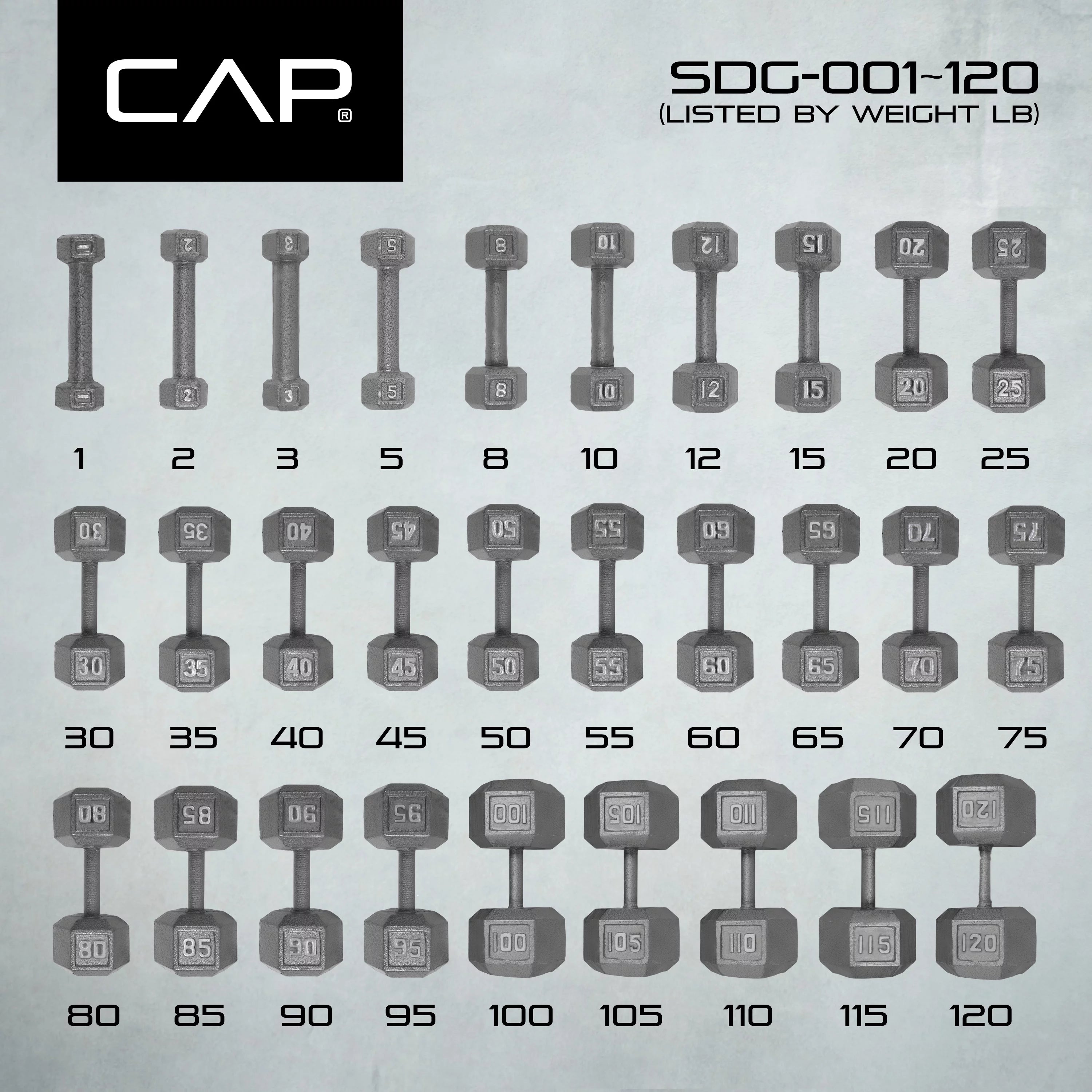 20 lb Cast Iron Hex Dumbbell W4775