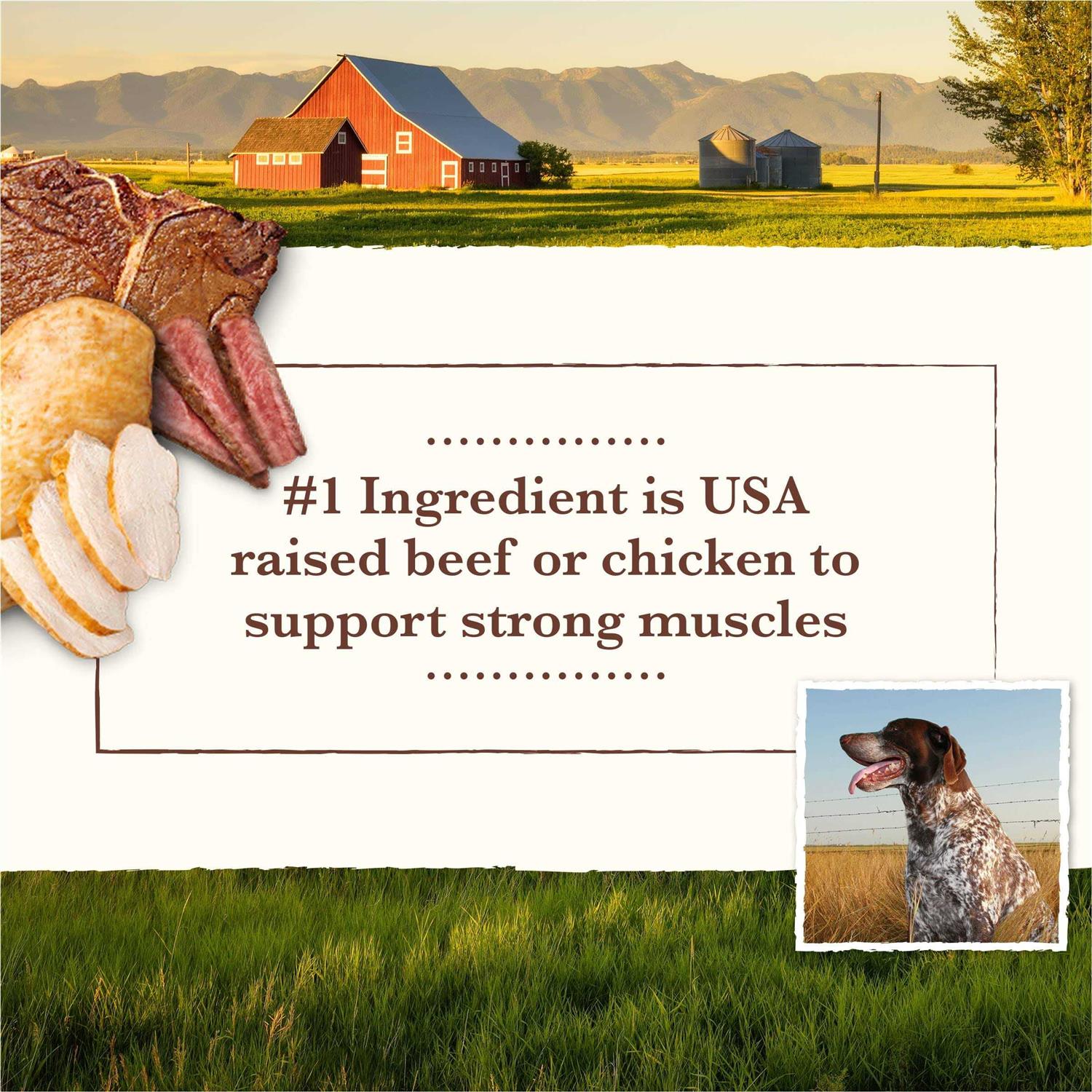Grain Free Wet Dog Food Chicken Turkey K344132