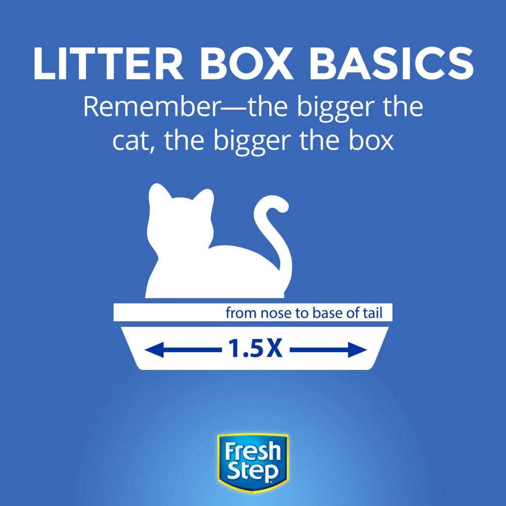 Calm Cat Litter, Unscented Clumping Clay Y893