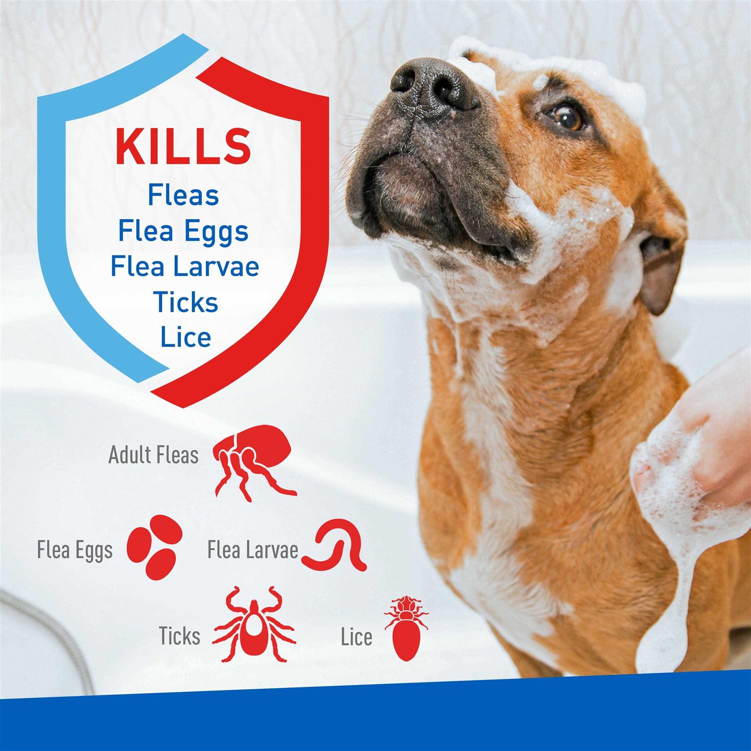 Flea and Tick Shampoo for Dogs and Cats Y2588