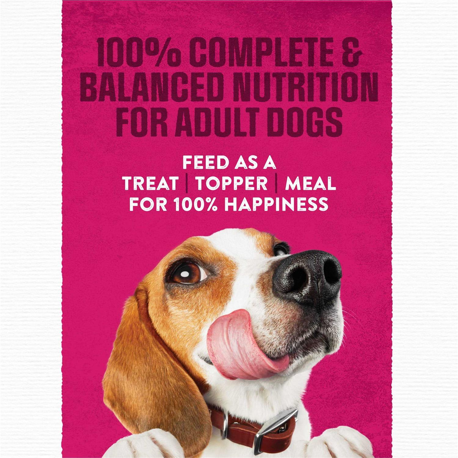 Steak Flavor Dry Dog Food D1105