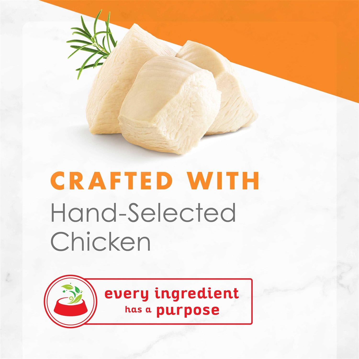 White Meat Chicken Broth Wet Cat Food G446986