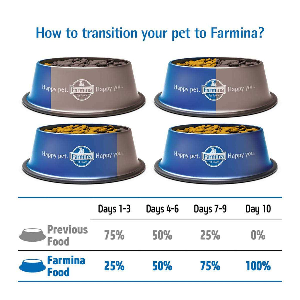 Cod Pumpkin & Orange Dry Dog Food X965675