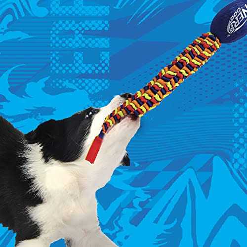 Vortex Chain Tug Dog Toy K160