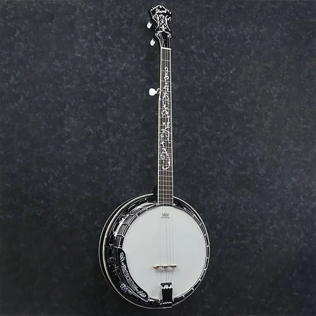 5-String Banjo G6316