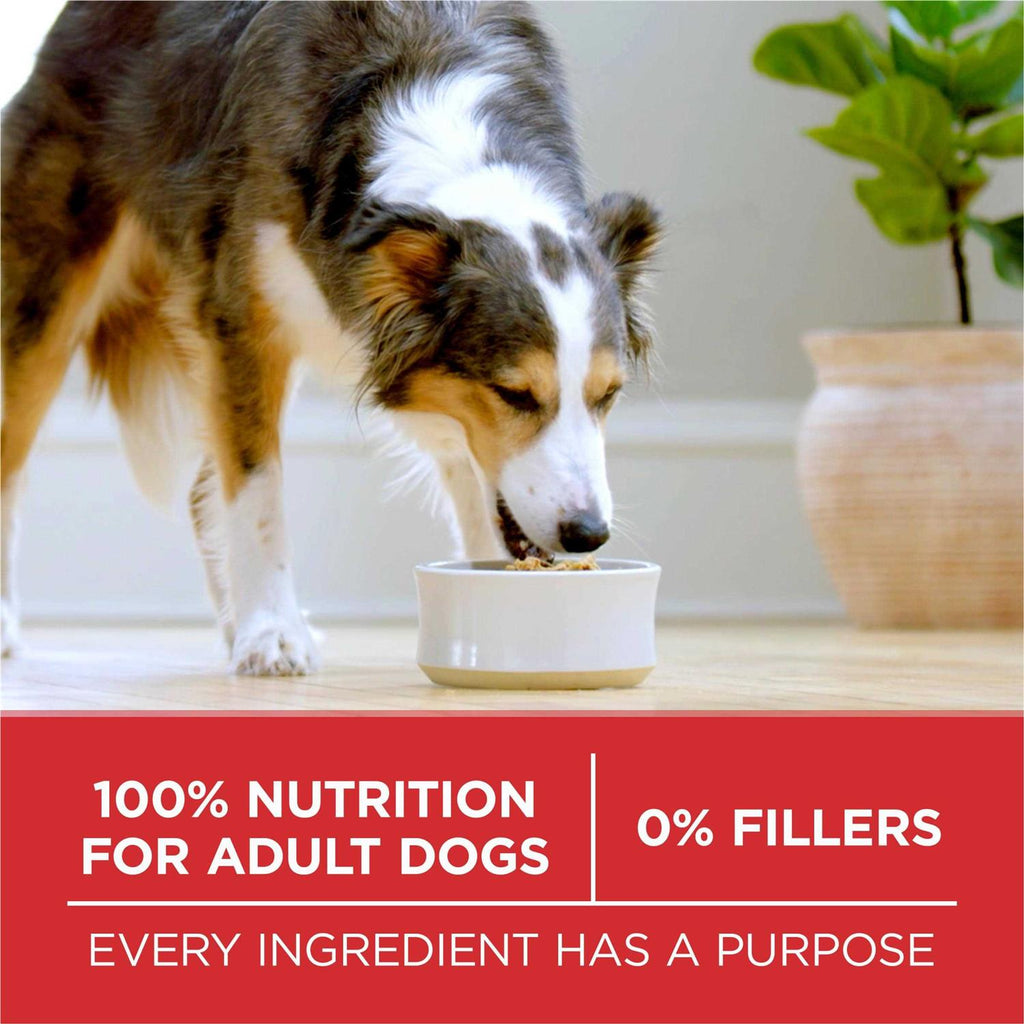Small Bites Beef & Rice Dry Dog Food D441