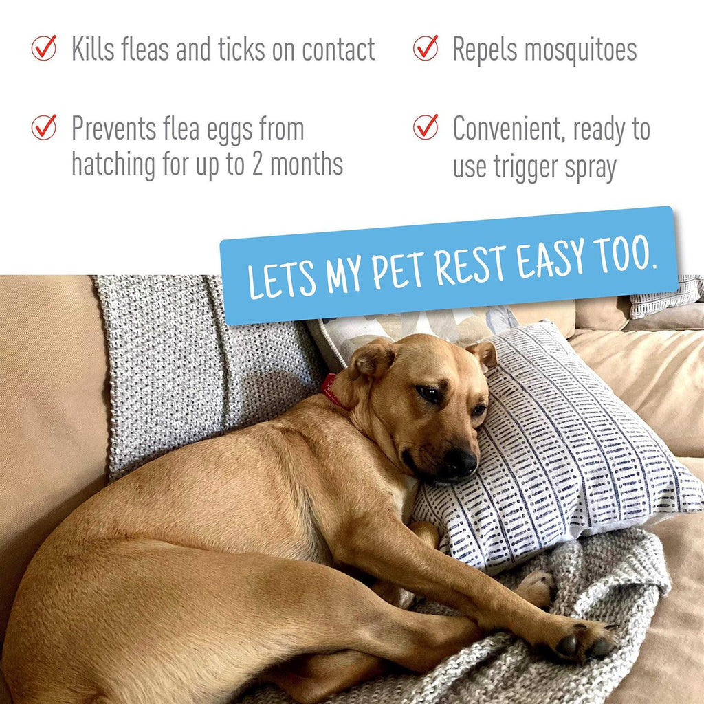 Flea and Tick Spray for Pets R510979