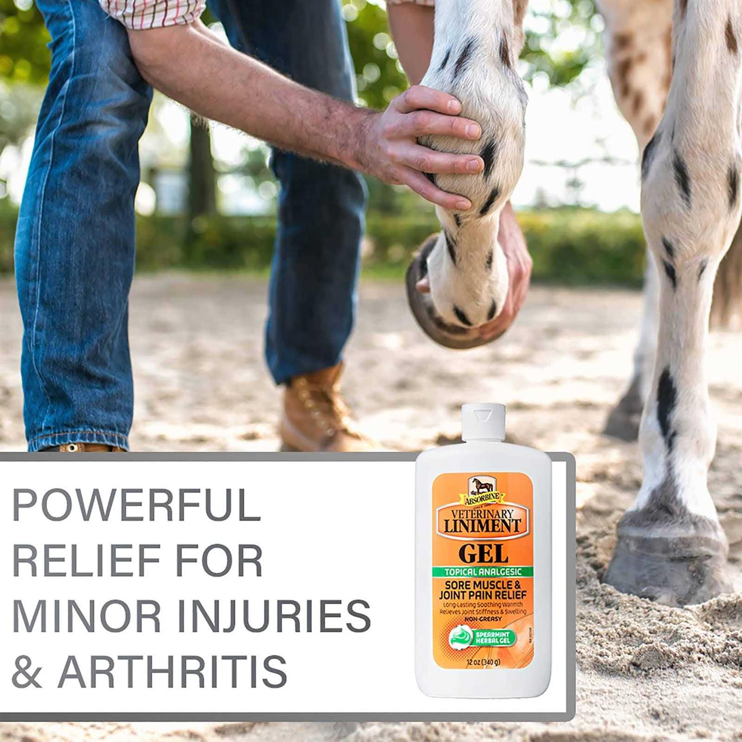 Veterinary Liniment Gel for Pets X426620