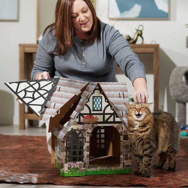 Cardboard Cat House Q4491
