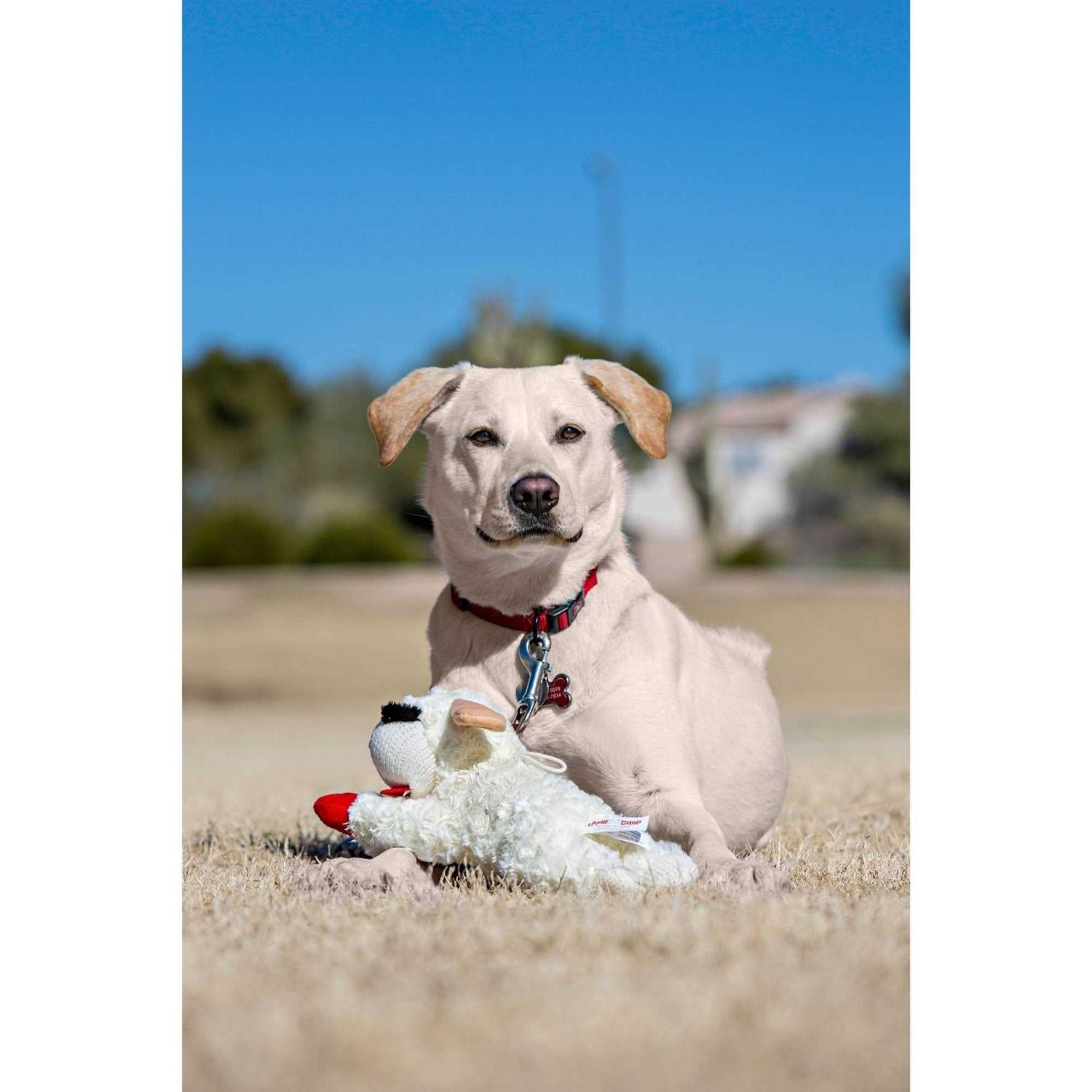 Lamb Chop Dog Toy F326