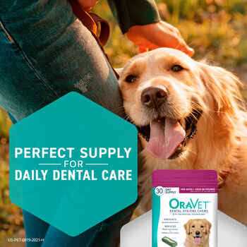 Dental Hygiene Chews for Dogs S460