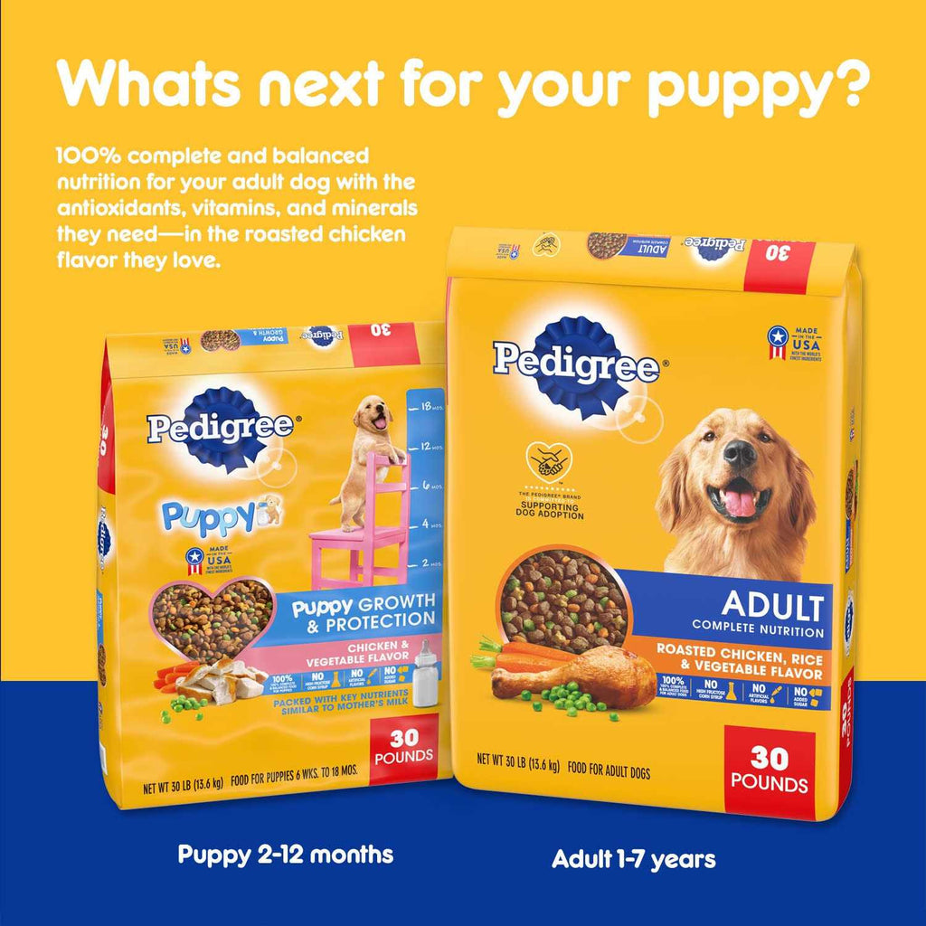 Puppy Dry Dog Food Chicken & Vegetable Flavor T455