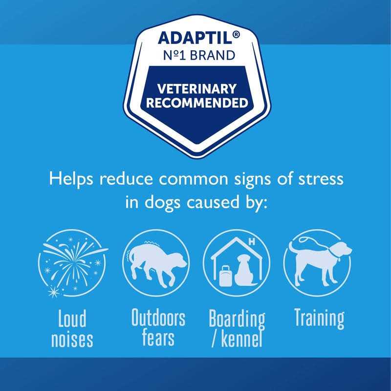 Calming Collar for Dogs A215