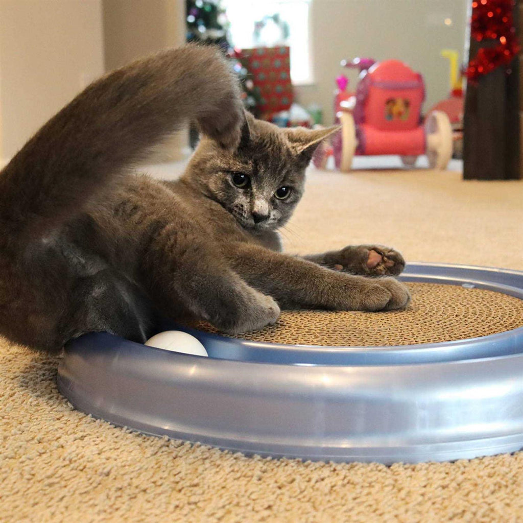 Cat Scratcher Toy with Track Ball X4161