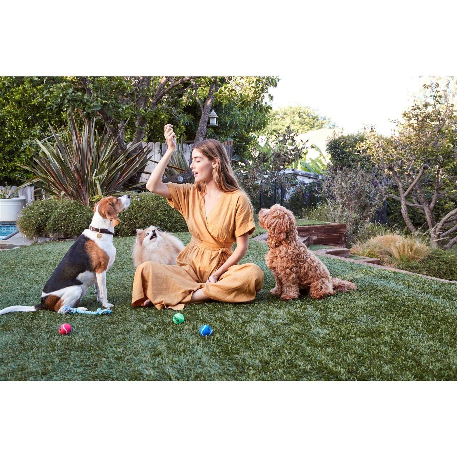 Organic Chicken Jerky Dog Treats P23681