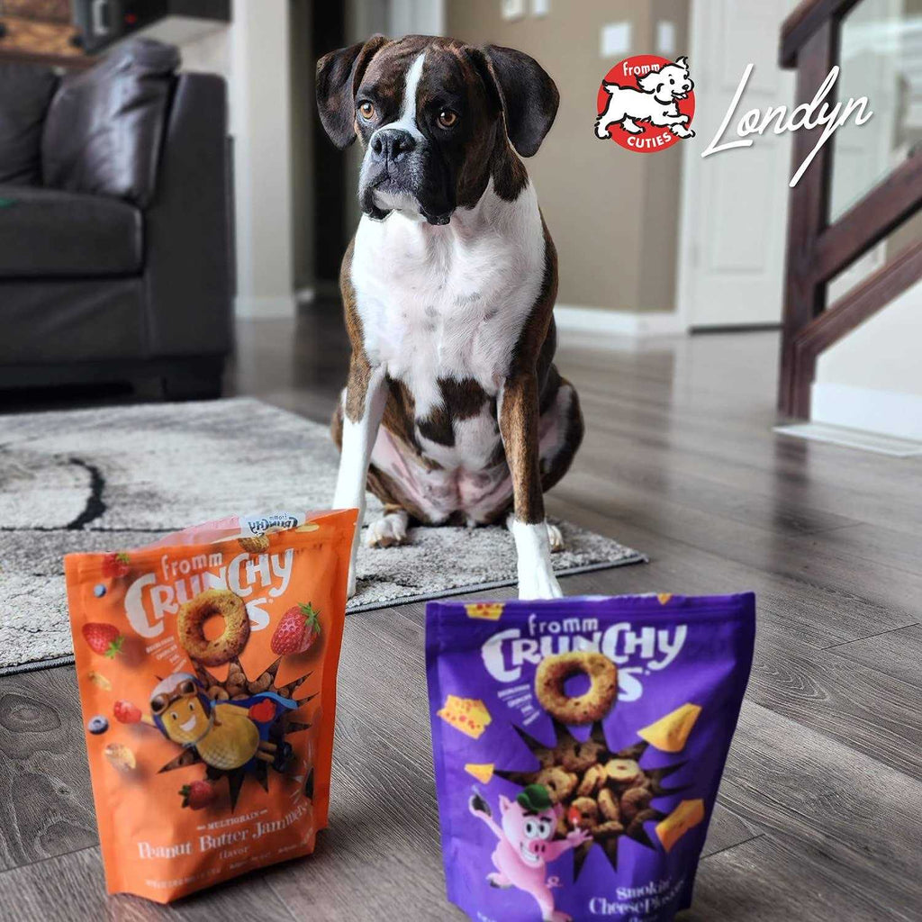 Crunchy O's Dog Treats K814127