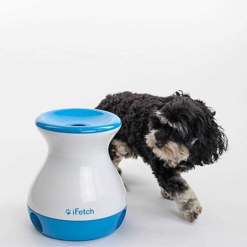 Frenzy Dog Toy F75164