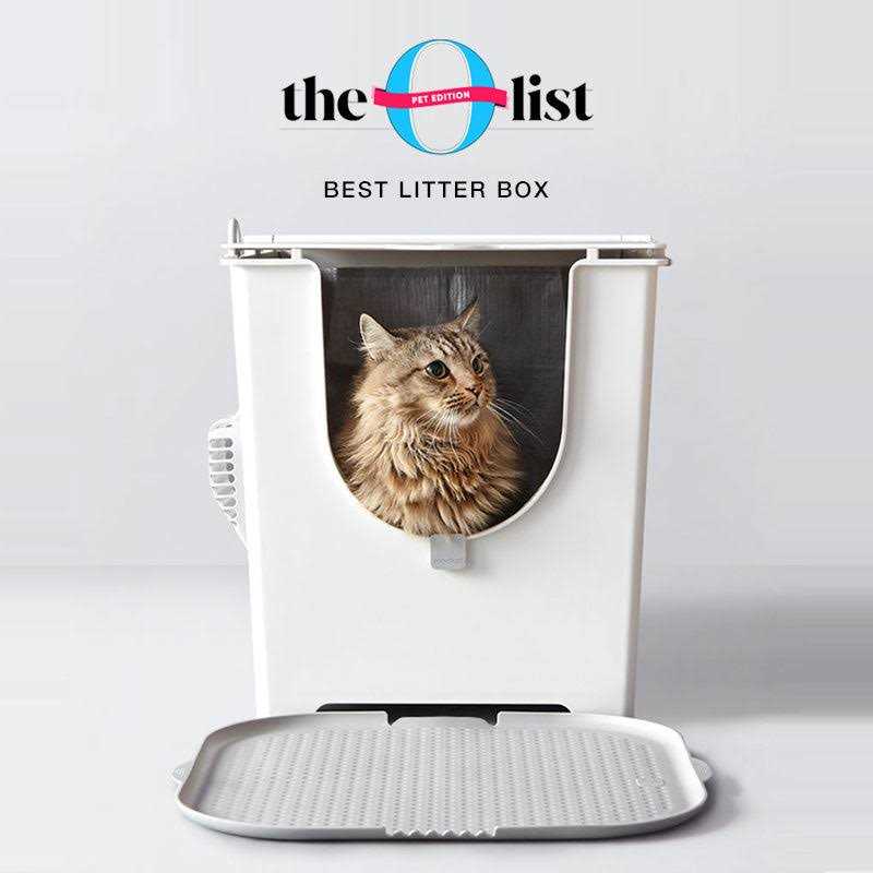 Flip Litter Box with Scoop and Reusable Liner T2515