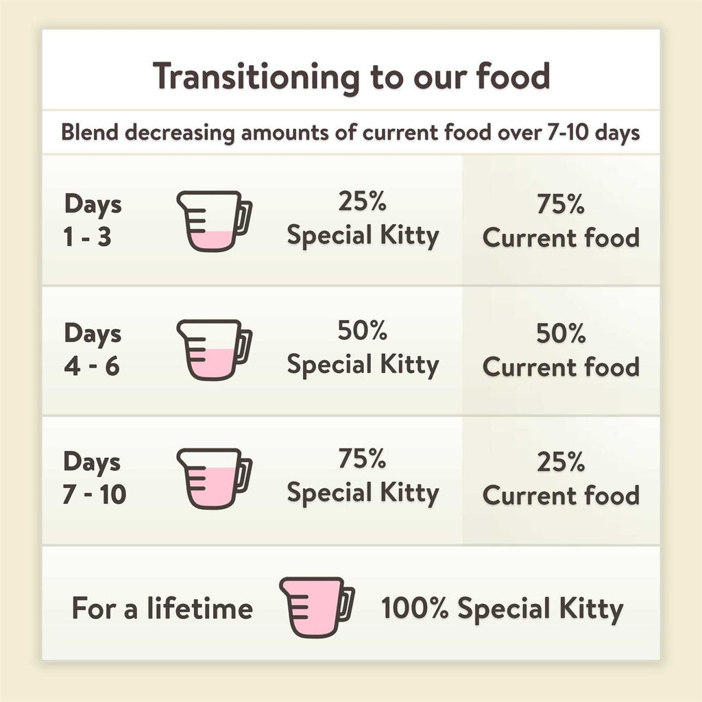 Kitten Formula Dry Cat Food N3866